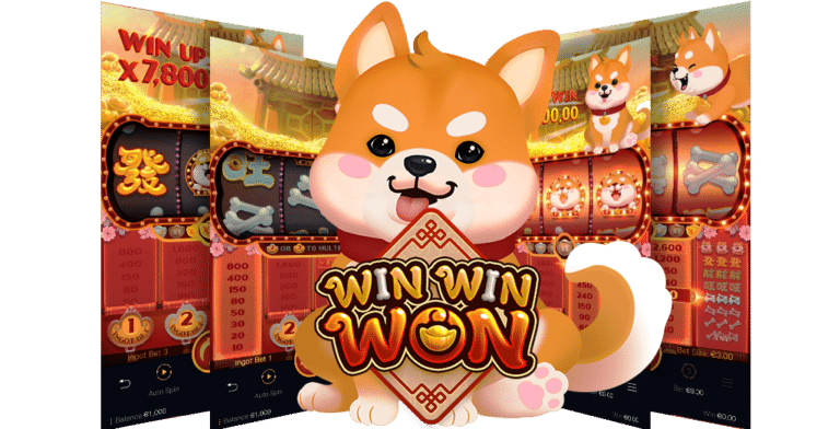  รูปแบบของการเล่นเกมสล็อต WIN WIN WON 
